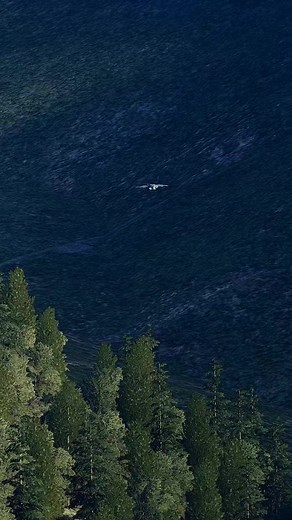 3.3K views · 101 reactions | F-22 Raptor Playing in the Caucasus Mountains | DCS World . . . . . #dcsworld #dcs #eagledynamics #grinellidesigns #f22 #f22raptor #flyingaround #caucasusmountains #aviation #aviationlovers #realism #flightsim #milsim #usairforce #militaryaircraft | Black Hornet Sim | Facebook