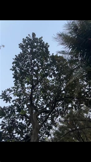 JESUS LOVES YOU 🫵🫶. . TEAM JESUS ✝️ SUMMIT MULUWENGEL📍#foryourpage #blowthisup #viral #christiantiktok #jesuslovesyou @yamsa @Fevi @💫