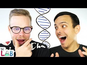 Our DNA Test Results! | The LAB
