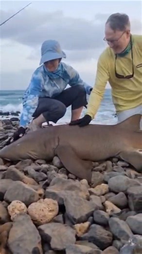 HEAVY SURF CASTING - FIGHT #1 - 2026FWU - INSHORE EXPERIENCE FISHING CAPE VERDE SAL ISLAND #shorts