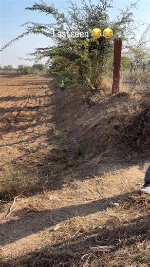 mukesh patel on Instagram: "Marwadi comedy video Rajasthan video fany Hindu samelan #rjkaku #comedy #marwadi #vlog #fany"