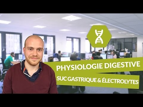 Physiologie digestive, suc gastrique, électrolytes - Physiologie - digiSchool