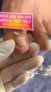27K views · 404 reactions | Bích Liên Hoa Sen on Reels | Facebook
