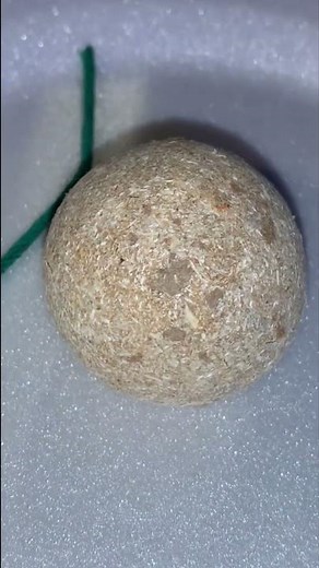 OLD SCHOOL CHERRY BOMB🍒 firecracker demo 🧨💥#loudaf #pyroaddicts #youtube