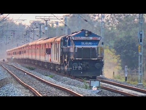 LIVE ACCIDENT - Train hits a cow !
