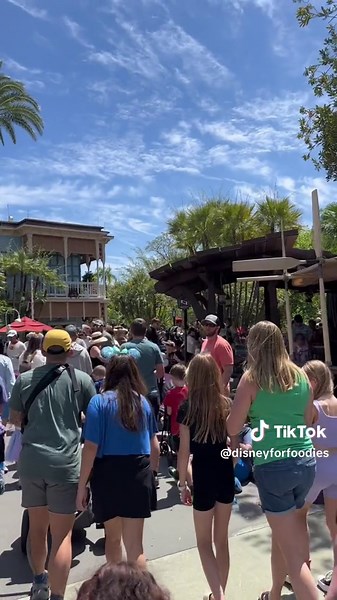 Magic Kingdom Reaches Capacity: Disney World Crowds 2024