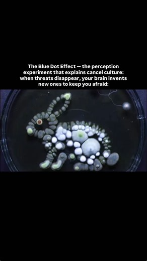 Ártur Rioni on Instagram: "1. In 2018, Harvard researchers ran an experiment that accidentally explained why society feels more divided despite measurable progress. Participants were shown 1,000 dots from blue to purple and asked to identify the «blue» ones. As researchers reduced the number of blue dots, something unexpected happened: people started calling purple dots «blue.» Their definition expanded to maintain a consistent threat level, even when the actual threat dropped by 80%. 2. They re