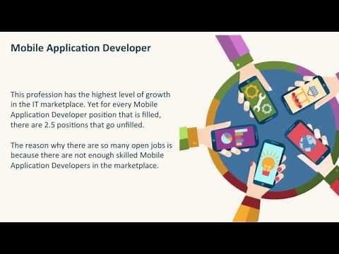 Mobile Application Developer