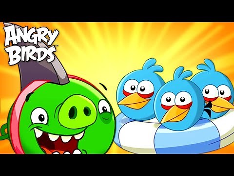 Angry Birds | Is anyone up for a beach party? 🌊🐚