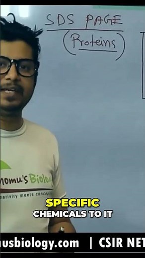 Unlocking Polyacrylamide: The Chemistry Behind Protein Separation