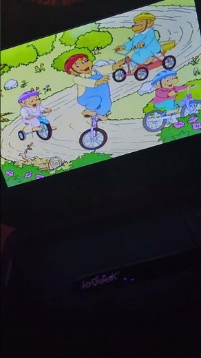 The Berenstain Bears DVD #fyp