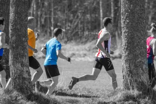 TJUST TRAIL RUN | Västervik, Sweden | Apr 18, 2026 (Sat)