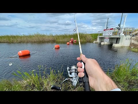 Fishing Florida Canals for ANYTHING That Bites!