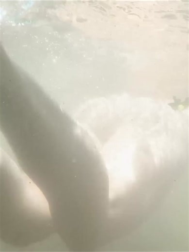 #bushcraft #survival #camping #asmr #girlcamping