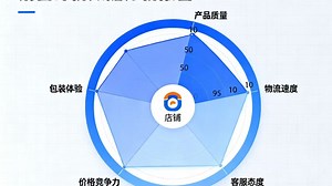 【Python数据分析】商家的销售评价数据分析