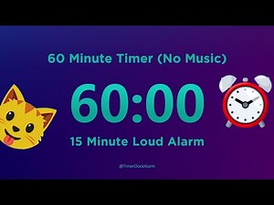 60 minute Timer