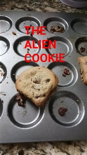 OMG!!! The Cookie shape is like an ALIEN Head?