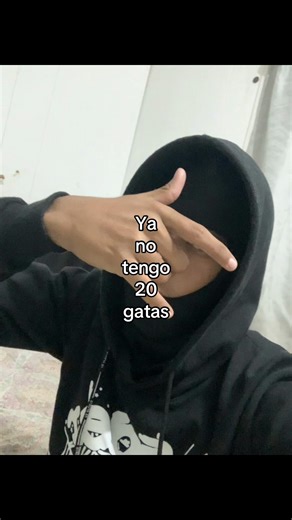 Una gata que vale por 20