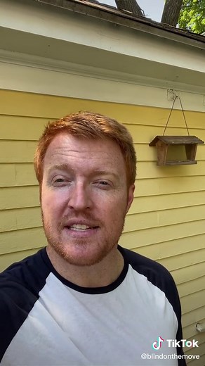 Electronic Mobility Aids for the Blind