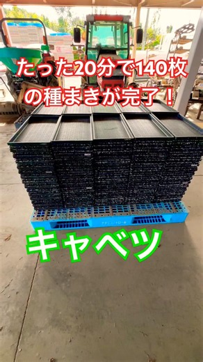 20分でキャベツ140枚の種まき完了！
