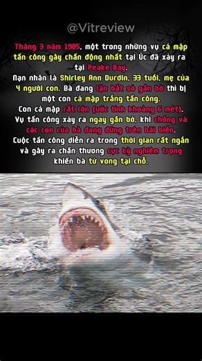 Người mẹ 4 con bị cá mập tấn công ngay trước mặt gia đình.