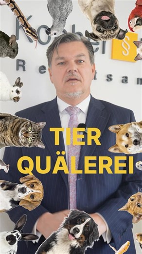 Tierquälerei in Österreich: Bis zu 2 Jahre Haft?! §222 StGB einfach erklärt #graz #strafrecht
