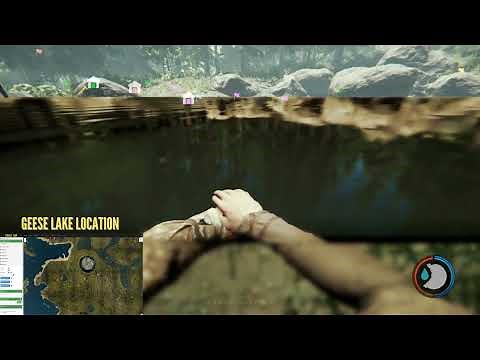 The Forest - Easiest way to get the Goose Head (Trophy Hunter achievement)