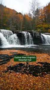 There's nothing more blissful than a cool autumn hike along the West Virginia Waterfall Trail. Don't be-leaf us? See for yourself. 🍂🥾🌊 | West Virginia Tourism