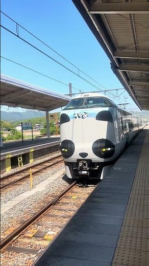【JR西日本287系】パンダくろしお到着（JR West 287 series Panda Kuroshio train arrives）
