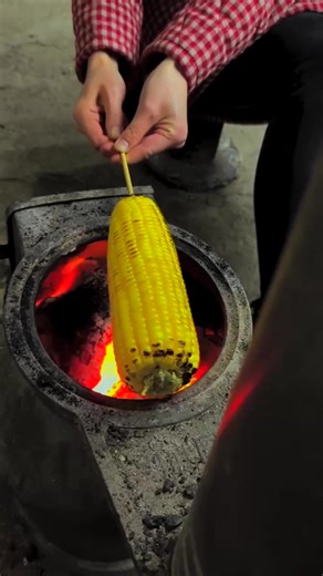 43K views · 777 reactions | Cooking some delicious corn over an open flame!  Who's hungry? #GrillTime #CornLover #FoodieVibes | VSG | Facebook