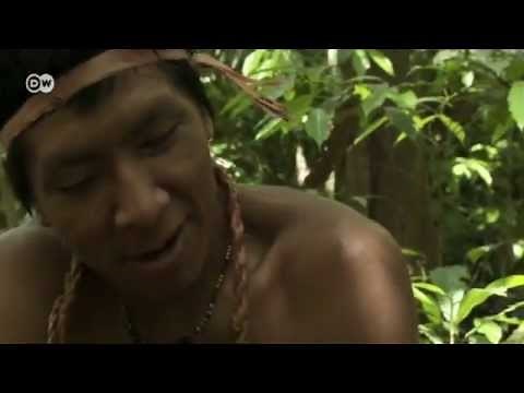 Gejagte Jäger: Die Awá-Indianer in Brasilien | Global 3000