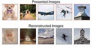 Researchers Use People's Brain Activity to Generate AI Images