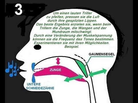 Wie pfeift man einen Triller ohne Finger (Trillerpfeife)Deutsches Tutorial - Whistling - whistle
