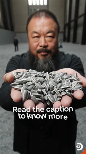 Sunflower Seeds by Ai Weiwei is a collection of countless tiny pieces, each of which is genuinely distinct despite appearing to be identical. These life-size sunflower seed husks may look real but are actually meticulously sculpted with porcelain and painted by artists from Jingdezhen. #DiscoveryChannelIndia #DiscoveryChannelIn #DiscoveryChannel #SunflowerSeeds #Sunflower | Discovery Channel India