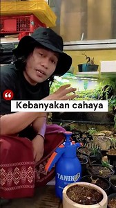 Overlight terrarium #terrarium #gardeningtips #earth #world #farming