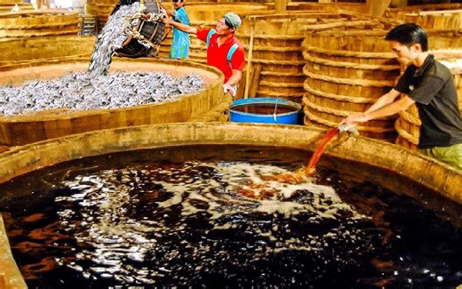 加工数百万条鱼制作鱼油、鱼粉、鱼露-工厂鱼油生产工艺