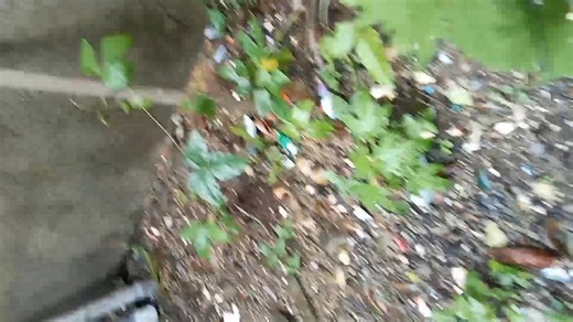 Malyn Galicha Galin on Reels | Facebook