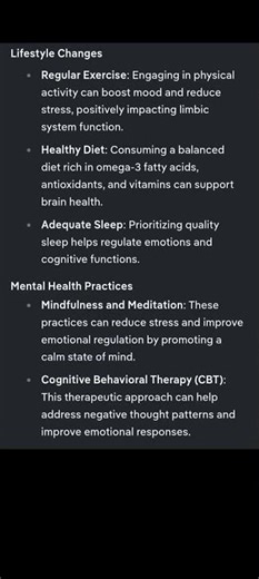 Some Strategies to Improve Limbic System Function 🩻 #meditation #action #relaxing #sleep #shorts