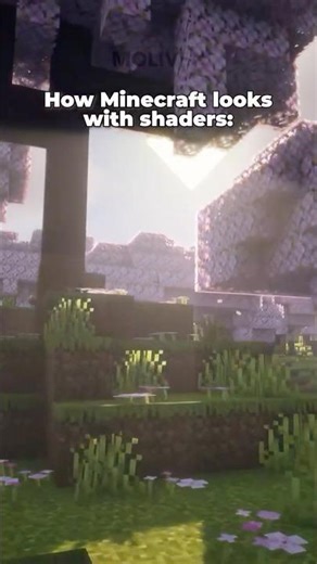 Minecraft Without vs With Shaders