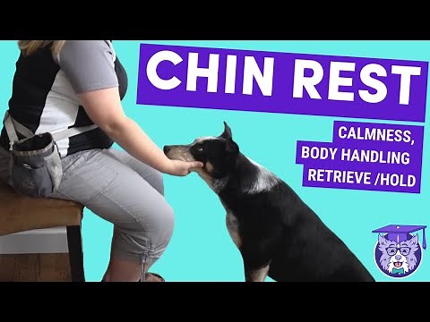 Chin Rest: Foundation for Cooperative Care and Quiet-Mouth Retrieve Behavior