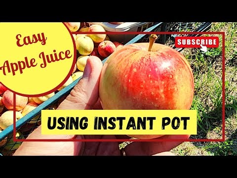 Super Easy- Instant Pot Apple Juice, and Sauce! 🍎