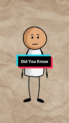 Did you know #didyouknow #memesdaily #facts #animation #uselessfacts | did you know facts