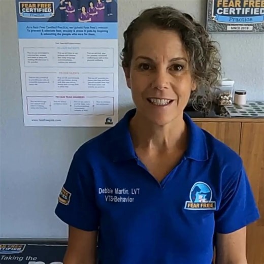 34 reactions | Expand your mind, skills, and heart at ClickerExpo with path-breaking concepts, meaningful and frank discussions, fresh takes, and hands-on training demos. All from our world-class, innovative faculty and speakers.  ClickerExpo LIVE (virtual • 1/23 - 1/25) ♥️ New York (in-person • 3/20 - 3/22) | Karen Pryor Clicker Training | Facebook