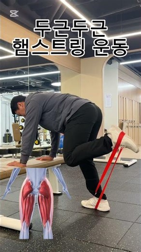 두근두근 햄스트링 운동!! #햄스트링 #다리운동 #하체운동 #밴드운동 #legtraining #legworkout #다이어트