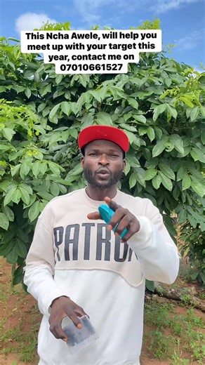 7.7K views · 205 reactions | This Ncha Awele, will help you meet up with your target this year, contact me on 07010661527 @top fans | Ugo-Omambala TV | Facebook