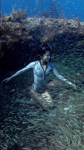 Freediving Woman with 1 MILLION fish