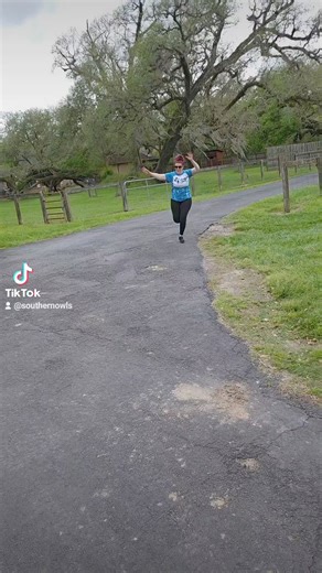 15K views · 193 reactions | Who's coming over? #craft #diy #funny #wreathmaker #crafters | Southern Owls | Facebook