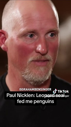 Paul Nicklen details how a leopard seal in Antarctica spent days attempting to feed penguins to the wildlife photographer. #wildlife #wildlifephotography #sealife #nationalgeographic