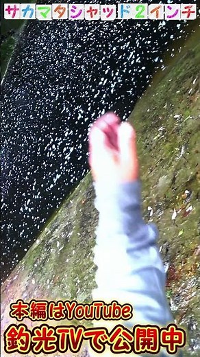 サカマタシャッド２インチに、、、