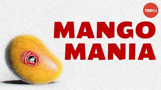 In 1968, factory workers received shipments of a gift from the country’s leader Mao Zedong. Each worker was given a golden wax replica of a mango. What was the meaning behind this unusual offering? | TED-Ed